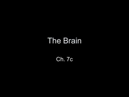 The Brain Ch. 7c The Brain Functional Anatomy –Cerebral Hemispheres –Diencephalon –Brain Stem –Cerebellum.