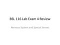 BSL 116 Lab Exam 4 Review Nervous System and Special Senses.