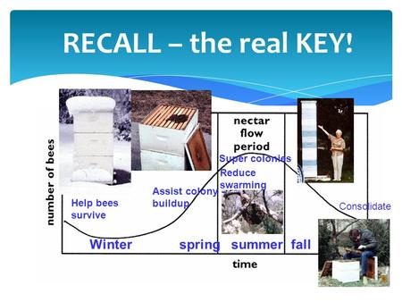 RECALL – the real KEY! Winter spring summer fall Help bees survive Assist colony buildup Reduce swarming Super colonies Consolidate.