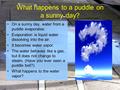 On a sunny day, water from a puddle evaporates. Evaporation is liquid water dissolving into the air. It becomes water vapor. The water behaves like a gas,