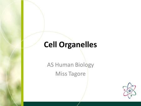 Cell Organelles AS Human Biology Miss Tagore. Learning Outcomes To understand the structure and function of cell organelles To be able to recognise cell.