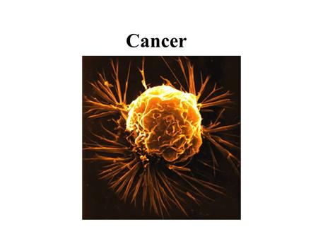 Cancer. Mutations Mutations are permanent changes in the DNA of the cell.