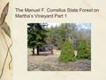 The Manuel F. Correllus State Forest on Martha’s Vineyard Part 1.