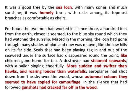 Sea loch homely It was a good tree by the sea loch, with many cones and much sunshine; it was homely too, with rests among its topmost branches as comfortable.