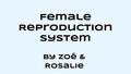 Female Reproduction System By Zoë & Rosalie. A BIT ABOUT OUR PROJECT The organs and structures of the female reproductive system give women the ability.