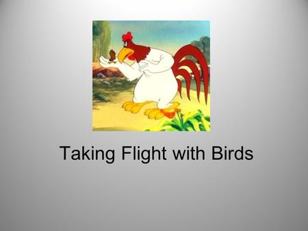 Taking Flight with Birds. Classification Kingdom Animalia ---Phylum Chordata ------Subphylum Vertebrata ---------Class Aves Aviation = Aves.