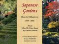 Japanese Gardens Photos by William Corey (1949 - 2008) Created: Rodica Stătescu Source: INTERNET Automatic transition Music: When The Wave Dance By Ernesto.