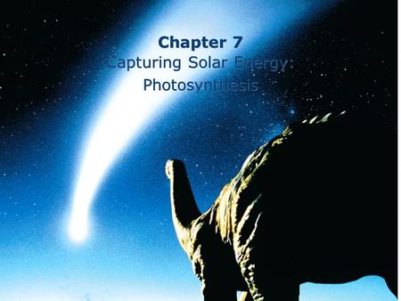 Chapter 7 Capturing Solar Energy: Photosynthesis Chapter 7 Capturing Solar Energy: Photosynthesis.