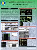 Silencing of NbRNP1 gene encoding U3 small nucleolar ribonucleoprotein affects leaf and root development in Nicotiana benthamiana Abstract Results Nucleolar.