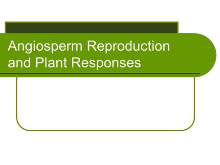 Angiosperm Reproduction and Plant Responses. Angiosperm Life Cycle Three unique features Flowers Fruits Double Fertilization.