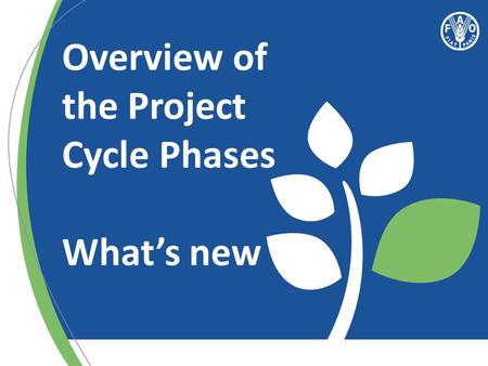 Overview of the Project Cycle Phases What’s new. “Act” Delivering through projects (Part 1)