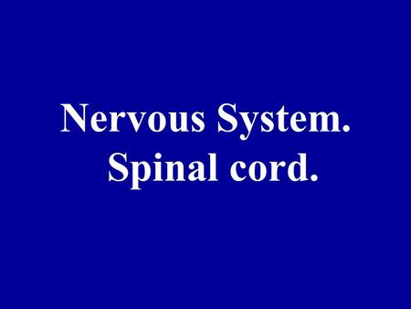 Nervous System. Spinal cord.