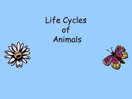 Life Cycles of Animals.