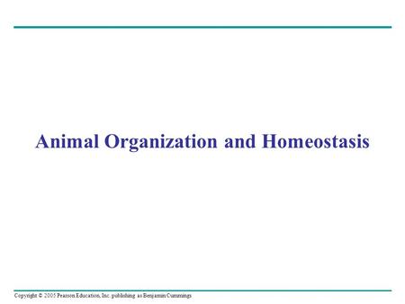 Copyright © 2005 Pearson Education, Inc. publishing as Benjamin Cummings Animal Organization and Homeostasis.