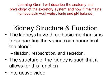 Learning Goal: I will describe the anatomy and physiology of the excretory system and how it maintains homeostasis w.r.t water, ionic and pH balance. Kidney.