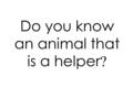 Do you know an animal that is a helper ?. HFW: Review u eget h elp s.