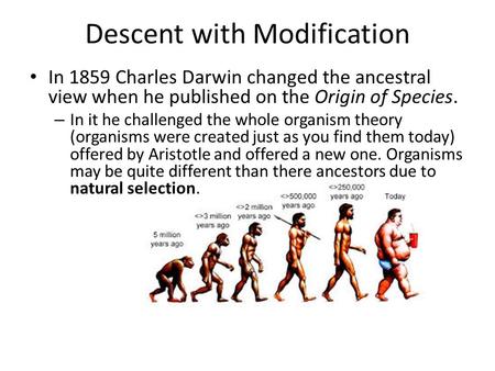 Descent with Modification In 1859 Charles Darwin changed the ancestral view when he published on the Origin of Species. – In it he challenged the whole.