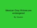 Mexican Gray Wolves are endangered By: Houston. Where do I live? I live at a house.