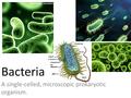 Bacteria A single-celled, microscopic prokaryotic organism.