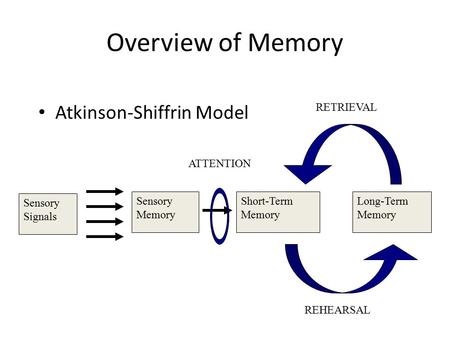 Overview of Memory Atkinson-Shiffrin Model Sensory Signals Sensory Memory Short-Term Memory Long-Term Memory ATTENTION REHEARSAL RETRIEVAL.