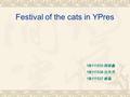 Festival of the cats in YPres 1B111535 周丽鑫 1B111536 白丹丹 1B111537 郝蕊.