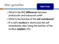 Mor-ganelles  What is the BIG difference between prokaryotic and eukaryotic cells?  What is the function of the cell membrane?  If a cell’s nucleus.