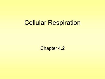 Cellular Respiration Chapter 4.2. Objectives Describe Metabolism Describe the role of ATP and how it functions Understand what goes on during the three.