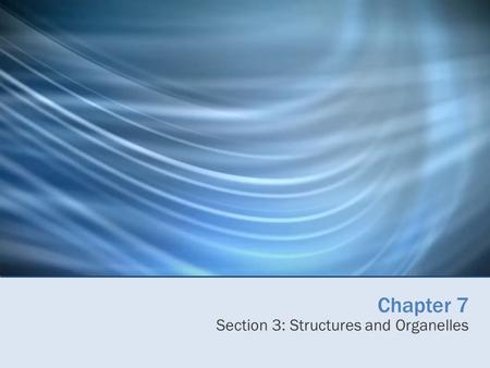 Section 3: Structures and Organelles