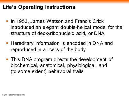 © 2014 Pearson Education, Inc. Life’s Operating Instructions  In 1953, James Watson and Francis Crick introduced an elegant double-helical model for the.