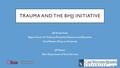 TRAUMA AND THE BHJJ INITIATIVE Jeff Kretschmar Begun Center for Violence Prevention Research and Education Case Western Reserve University Jeff Spears.