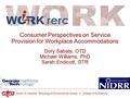 Consumer Perspectives on Service Provision for Workplace Accommodations Dory Sabata, OTD Michael Williams, PhD Sarah Endicott, OTR Work RERC National Institute.