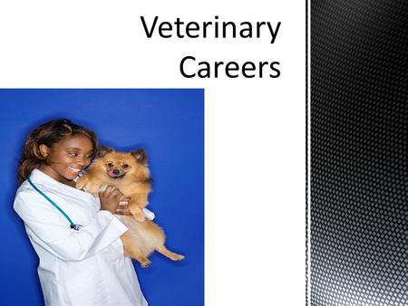  Focus of Veterinary Careers is to provide care to ALL types of animals-from house pets to livestock to wildlife.  Can be employed at a veterinary office,