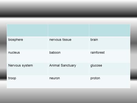 Biospherenervous tissuebrain nucleusbaboonrainforest Nervous systemAnimal Sanctuaryglucose troopneuronproton.