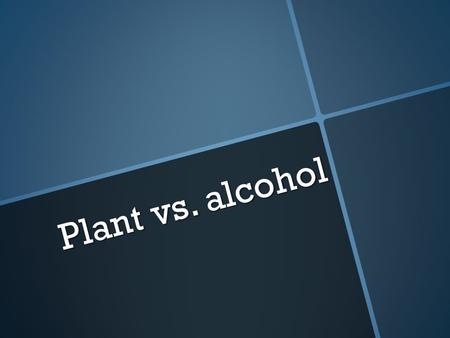 Plant vs. alcohol. What happens if a human drinks rubbing alcohol?  They get sick  They get drunk (in some cases)  They die.