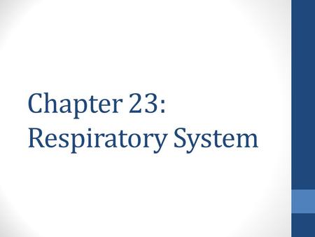 Chapter 23: Respiratory System. 4 Parts of Respiration Ventilation – the movement of air into and out of the lungs External gas exchange – between the.