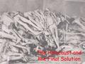 The Holocaust and the Final Solution.