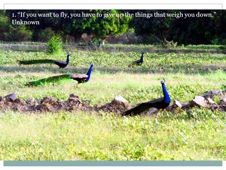 1. “If you want to fly, you have to give up the things that weigh you down.” Unknown.