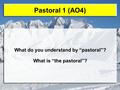 Pastoral 1 (AO4) What do you understand by “pastoral”? What is “the pastoral”?