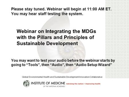 Please stay tuned. Webinar will begin at 11:00 AM ET. You may hear staff testing the system. Webinar on Integrating the MDGs with the Pillars and Principles.