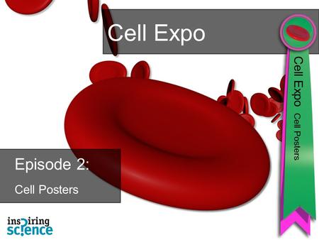 Episode 2: Cell Posters Cell Expo Cell Expo Cell Posters.