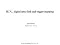 HCAL Fall meeting, Nov 11-13,`04 HCAL digital optic link and trigger mapping Ianos Schmidt The university of Iowa.