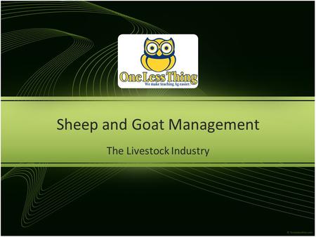 Sheep and Goat Management The Livestock Industry.