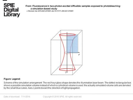 Date of download: 7/11/2016 Copyright © 2016 SPIE. All rights reserved. Scheme of the simulation arrangement. The red hour glass shape denotes the illumination.