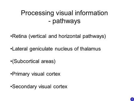 Processing visual information - pathways