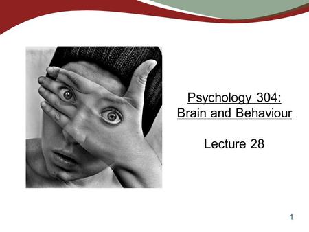 Psychology 304: Brain and Behaviour Lecture 28