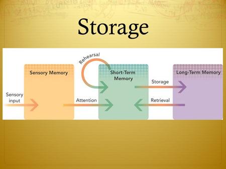 Storage. Sensory Memory  Initial recording of your senses  Most information is not encoded  What determines what gets encoded?  Selective attention.