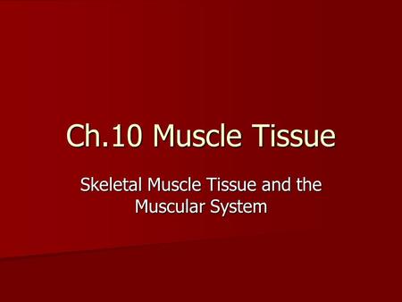 Ch.10 Muscle Tissue Skeletal Muscle Tissue and the Muscular System.