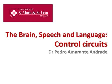 CONTROL CIRCUITS Integrate and control the activities of the structures and pathways involved in motor performance Key point: Neither the basal ganglia.