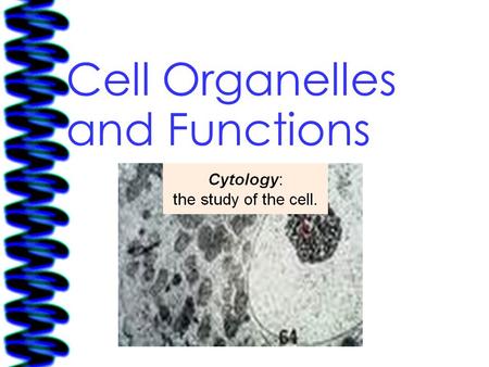 Cell Organelles and Functions. CELLS Are MICROSCOPIC HAVE KEY STRUCTURES: 1. Are enclosed by a MEMBRANE 2. Are filled with CYTOPLASM 3. Contain DNA 2.