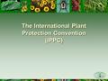 The International Plant Protection Convention (IPPC)